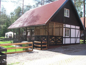 Гостиница Domek U Justyny  Залаково
